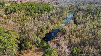 Set on 13+ private acres, this property offers a rare - photo 46