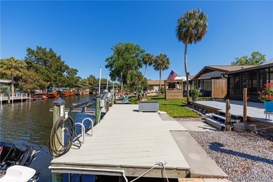 Bring your boat and start enjoying all this move-in-ready - photo 7