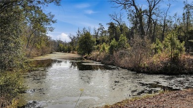 Set on 13+ private acres, this property offers a rare - photo 48