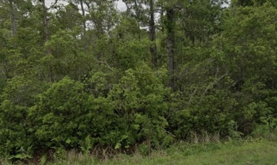 Lake Lot For Sale in Crescent City, Florida