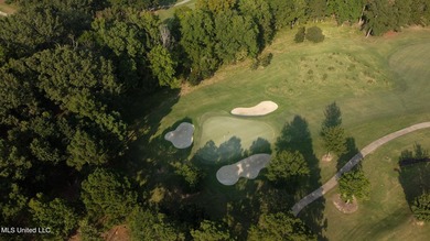 12.02 acre development opportunity on the Annandale Golf Course! - photo 2