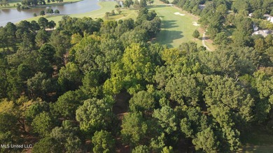 12.02 acre development opportunity on the Annandale Golf Course! - photo 3