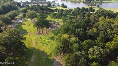 12.02 acre development opportunity on the Annandale Golf Course! - photo 4