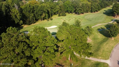 12.02 acre development opportunity on the Annandale Golf Course! - photo 5