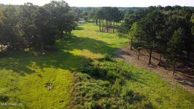 12.02 acre development opportunity on the Annandale Golf Course! - photo 6