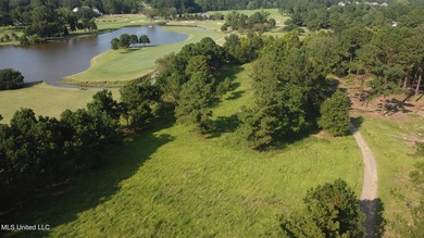 12.02 acre development opportunity on the Annandale Golf Course! - photo 10