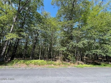 Lake Lot For Sale in Milford, Pennsylvania