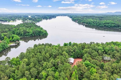 This property is more than just a lake house. It's a Lake + Farm - photo 3