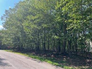 Lake Lot For Sale in Milford, Pennsylvania