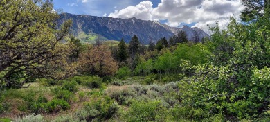 Lake Acreage Sale Pending in Somerset, Colorado