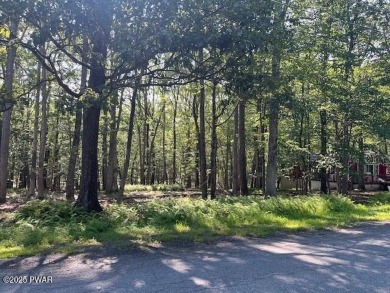 Lake Lot For Sale in Milford, Pennsylvania