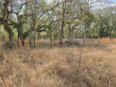 Withlacoochee River Lot For Sale in Webster Florida