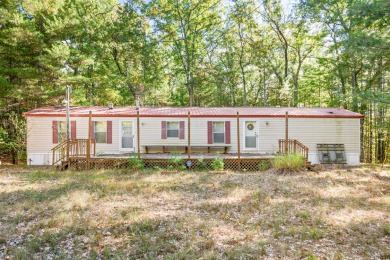Lake Home For Sale in Bitely, Michigan