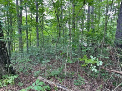Lake Lot For Sale in Dayton, Tennessee