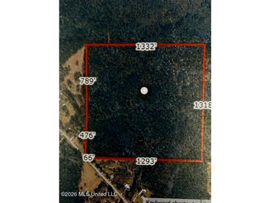 40 Acres, Heavily wooded and ready for your private retreat - photo 2