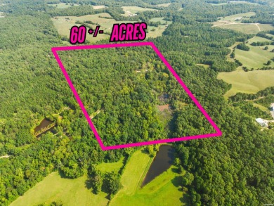 Lake Home For Sale in Hot Springs, Arkansas