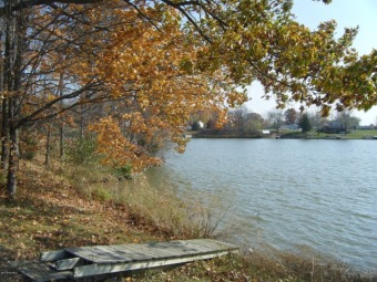 Merry Lake Waterfront - Lake Lot For Sale in Camden, Michigan