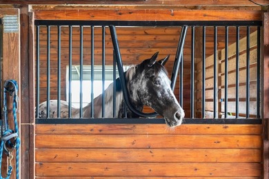 Turnkey Equestrian Estate with FULLY FURNISHED Home, ideally - photo 18