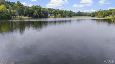 Lake Lot For Sale in Hillsboro, Missouri