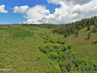 Blacktail Creek Ranch is a beautiful 522-acre high-country ranch - photo 45