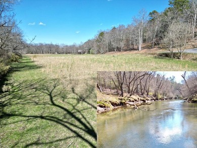 (private lake, pond, coastal) Lot For Sale in Murphy North Carolina