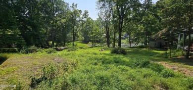 Lake Lot For Sale in Narrowsburg, New York