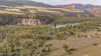 Lake Acreage For Sale in Swan Valley, Idaho