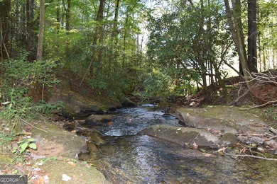 Lake Acreage For Sale in Ellijay, Georgia