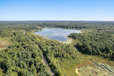 (private lake, pond, creek) Acreage For Sale in Twin Lake Michigan