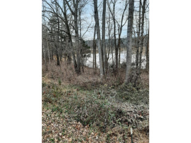 Lake Lot For Sale in Chatham, Virginia