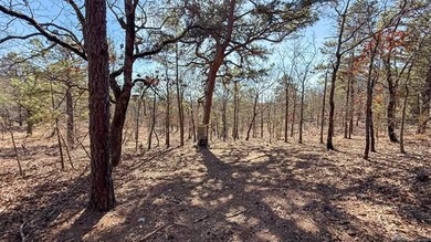 Frog Eagle Ranch consists of 771+/- acres located in Daisy - photo 13