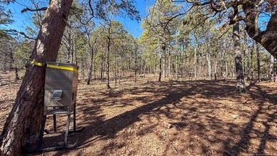 Frog Eagle Ranch consists of 771+/- acres located in Daisy - photo 14