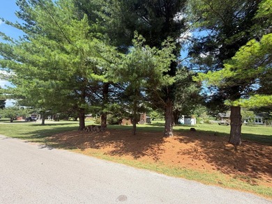 Welcome to this well-maintained 4-bedroom, 2-bathroom - photo 15