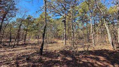 Frog Eagle Ranch consists of 771+/- acres located in Daisy - photo 15