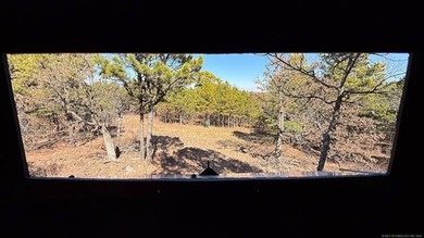 Frog Eagle Ranch consists of 771+/- acres located in Daisy - photo 21
