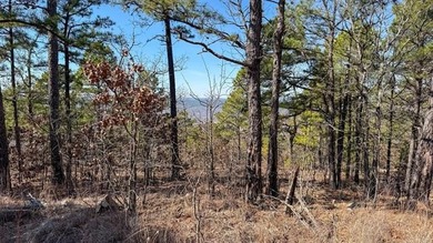 Frog Eagle Ranch consists of 771+/- acres located in Daisy - photo 22