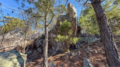 Frog Eagle Ranch consists of 771+/- acres located in Daisy - photo 24