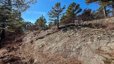 Frog Eagle Ranch consists of 771+/- acres located in Daisy - photo 29