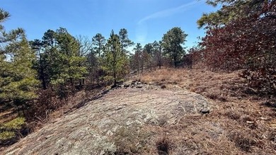 Frog Eagle Ranch consists of 771+/- acres located in Daisy - photo 30