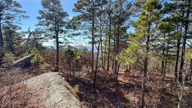 Frog Eagle Ranch consists of 771+/- acres located in Daisy - photo 31