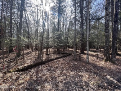 Lake Lot For Sale in Lake Ariel, Pennsylvania