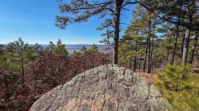 Frog Eagle Ranch consists of 771+/- acres located in Daisy - photo 32
