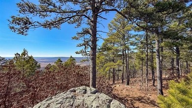 Frog Eagle Ranch consists of 771+/- acres located in Daisy - photo 33