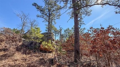 Frog Eagle Ranch consists of 771+/- acres located in Daisy - photo 34