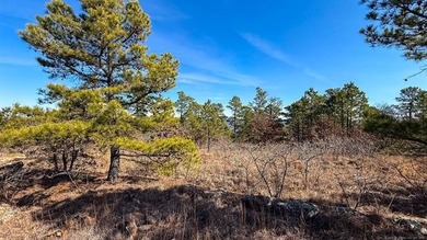 Frog Eagle Ranch consists of 771+/- acres located in Daisy - photo 36