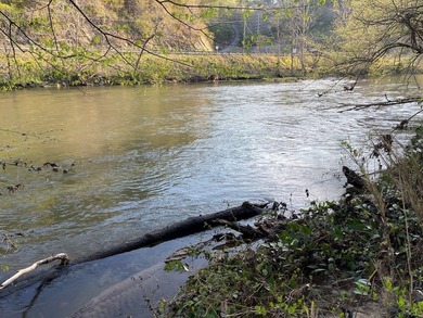 Hiwassee River - Cherokee County Lot For Sale in Murphy North Carolina
