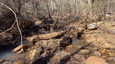 Frog Eagle Ranch consists of 771+/- acres located in Daisy - photo 41