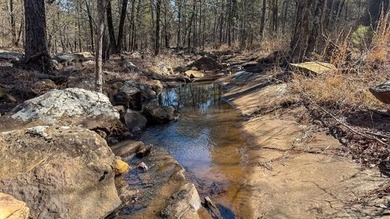 Frog Eagle Ranch consists of 771+/- acres located in Daisy - photo 42