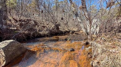 Frog Eagle Ranch consists of 771+/- acres located in Daisy - photo 45