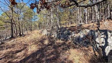 Frog Eagle Ranch consists of 771+/- acres located in Daisy - photo 46